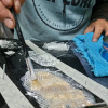 Kit de reparacion Epoxy - Snow / Ski